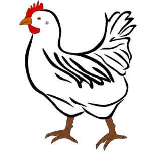 icono pollo